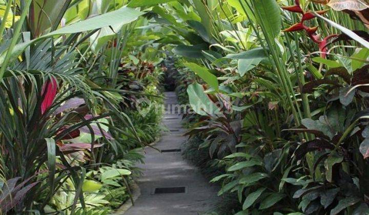 Dijual villa lokasi kuwum kerobokan kuta utara 2