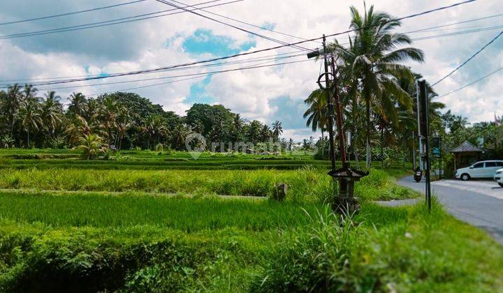 Dijual tanah lokasi tegallalang ubud gianyar bali 2