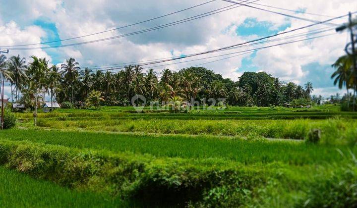 Dijual tanah lokasi tegallalang ubud gianyar bali 1