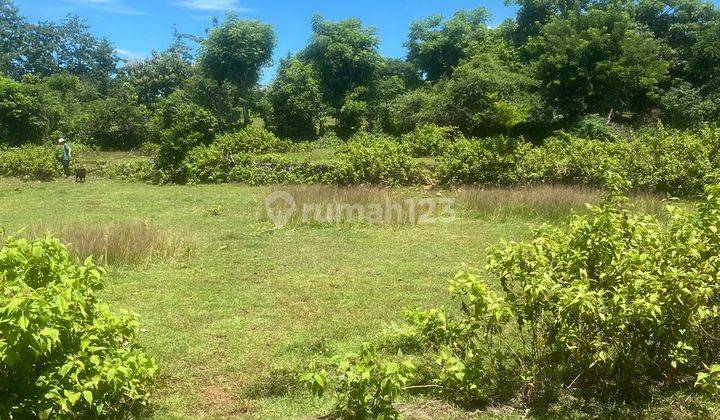 Land for sale in Ungasan Kuta South Badung Bali 1