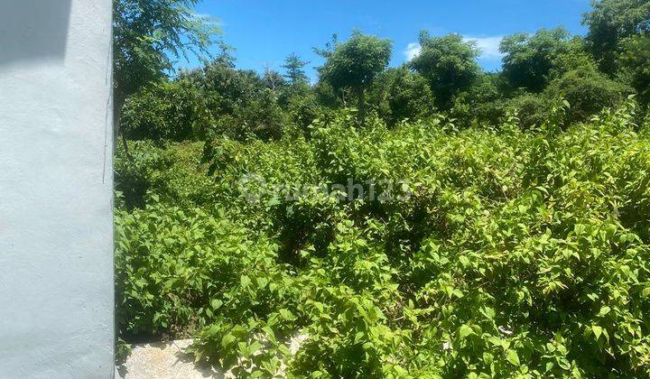 Land for sale in Ungasan Kuta South Badung Bali 2