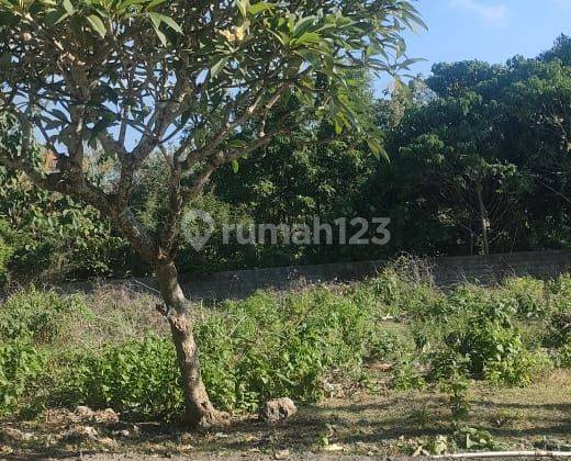 Dijual tanah lokasi taman sakura jimbaran kuta selatan 1