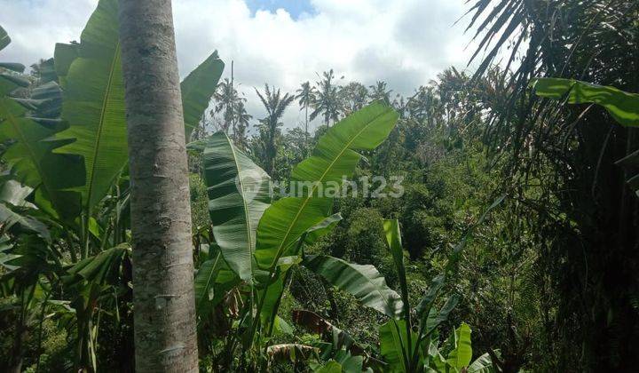 Land for sale at tegallalang gianyar bali 2