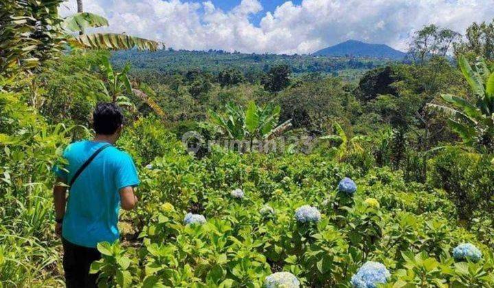 Dijual tanah lokasi asah gobleg banjar buleleng bali 2