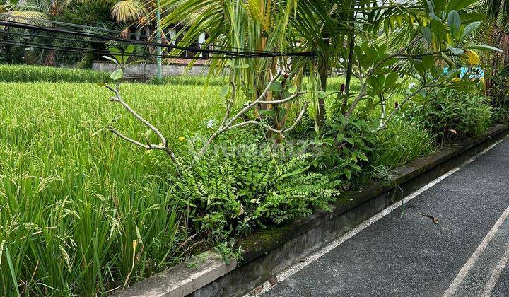 Land for sale located in Sriwedari Ubud Gianyar Bali 1