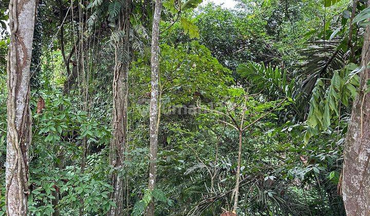 Land for sale located in Sriwedari Ubud Gianyar Bali 2