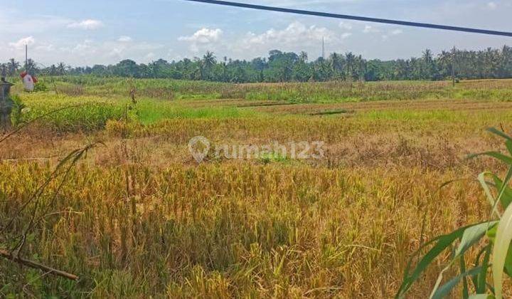 Land for sale at the location of Br Dukuh Baturiti, Kerambitan, Tabanan 1