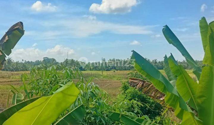 Land for sale at the location of Br Dukuh Baturiti, Kerambitan, Tabanan 2