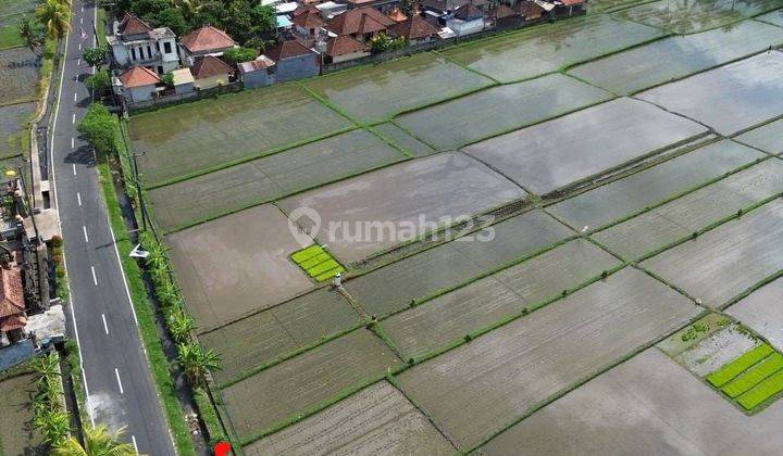 Dijual tanah lokasi kekeran mengwi badung 1