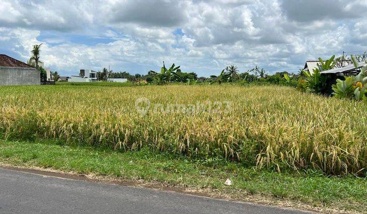 Land for sale in Kedungu, Tabanan, Bali 2