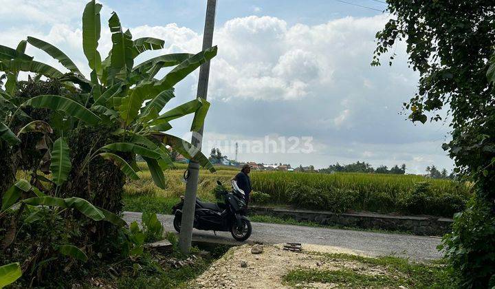 Land for sale in the locust location of Tabanan Bali 1