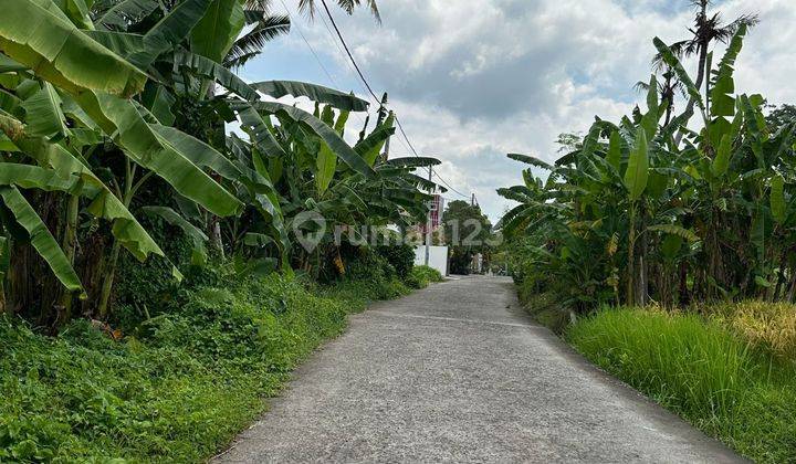 Land for sale in the locust location of Tabanan Bali 2