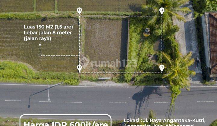 Dijual tanah lokasi angantaka abiansemal badung 2