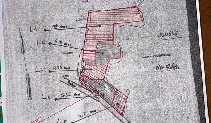 Disewakan tanah lokasi tegallalang gianyar 2