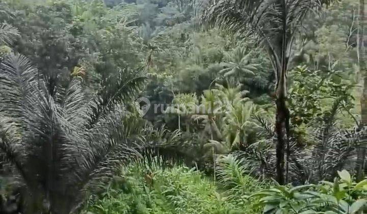 Disewakan tanah lokasi tegallalang gianyar 1