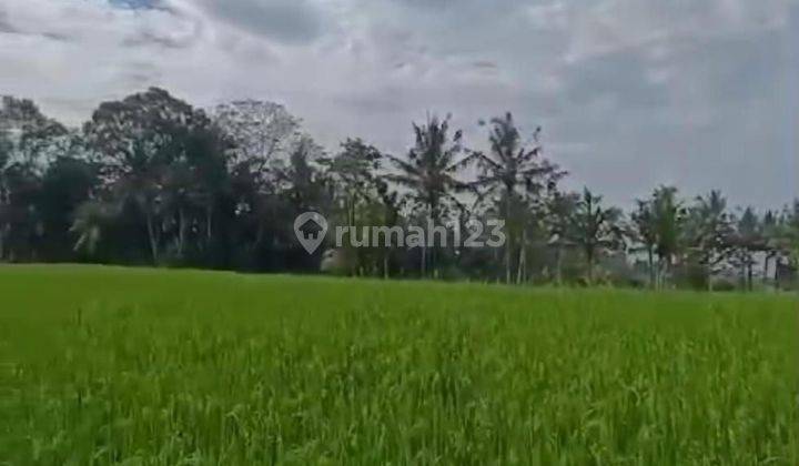 Dijual tanah lokasi tegallalang gianyar bali 1