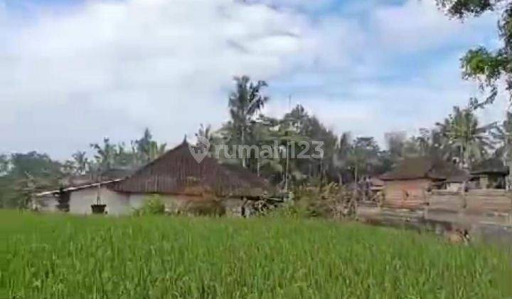 Dijual tanah lokasi tegallalang gianyar bali 2