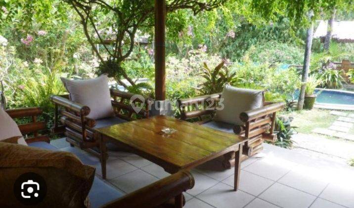 Villa for sale in Lovina, Buleleng, Bali 1