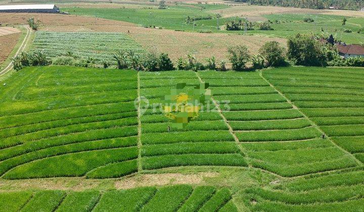 Land for sale located in Klecung Tegal Mengek Tabanan Bali 2