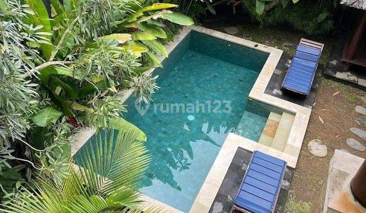 Dijual villa lokasi sriwedari ubud gianyar bali 2