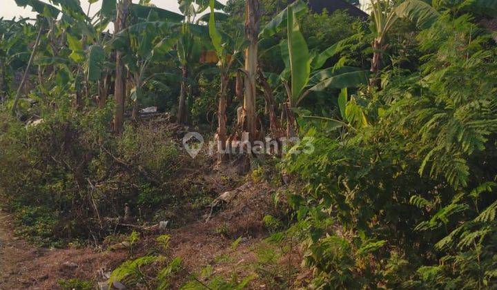 Land for rent in Tegal Cupek, Kerobokan, North Kuta 1