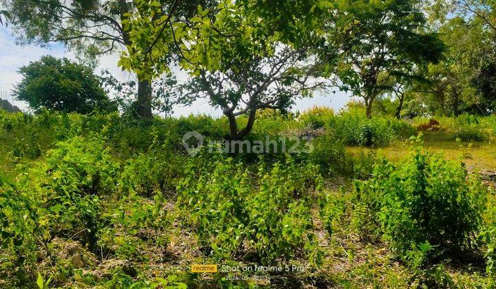 Land for sale at the location of the Gong Gong Jimbaran Cave, South Kuta 1