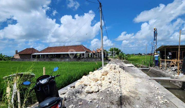 Dijual tanah lokasi cemagi mengwi badung 1