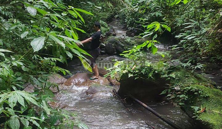 Dijual tanah lokasi tegallalang gianyar bali 2