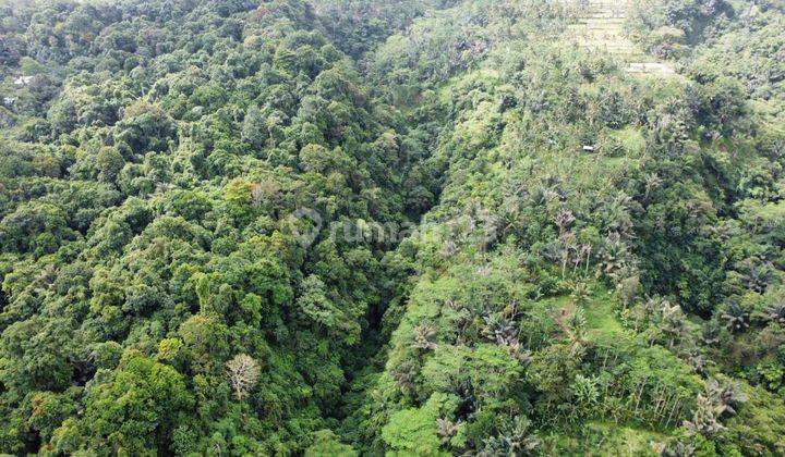 Dijual tanah lokasi tegallalang gianyar bali 1