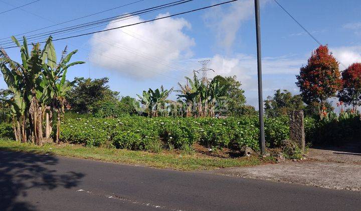 Dijual tanah lokasi wanagiri suka sada buleleng 1