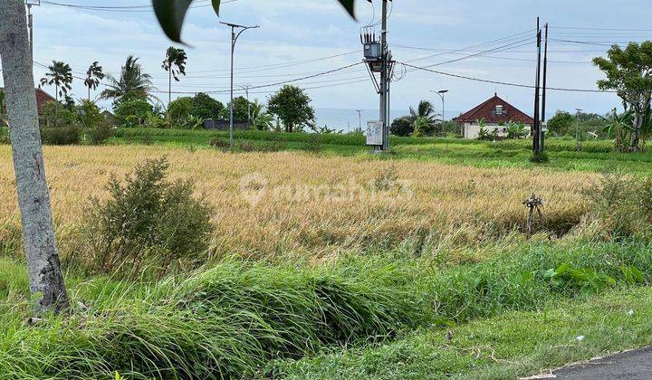 Land for rent at the Kedungu Grasshopper location in Tabanan 2