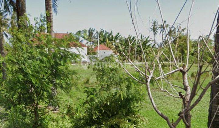 Disewakan tanah lokasi jalan utama pering gianyar 1