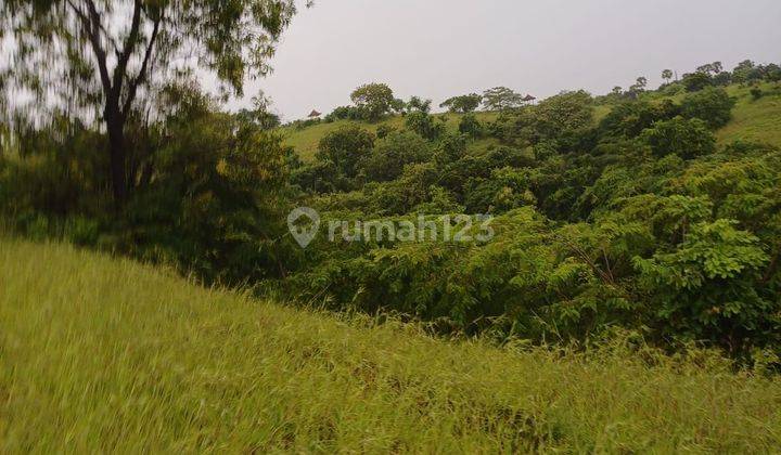 Dijual tanah lokasi kubu tambahan buleleng bali 2