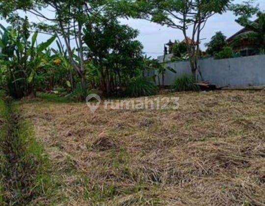 Land for sale in Cempaka Dalung Kuta North 2