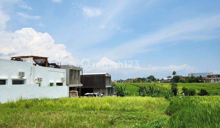 Land for rent located in Cemagi Mengwi Badung 2