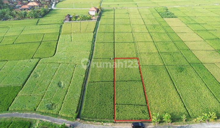 Land for sale located on Pasut beach road, Tabanan Bali 1