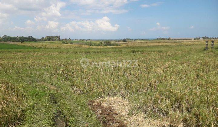 Land for sale at the Kelecung Tegal Mengkeb Tabanan location 2