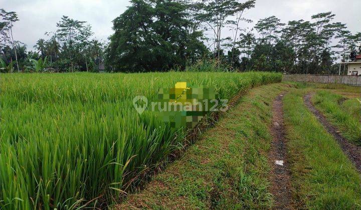 Land for sale in Ubud Gianyar tegallalang location 2