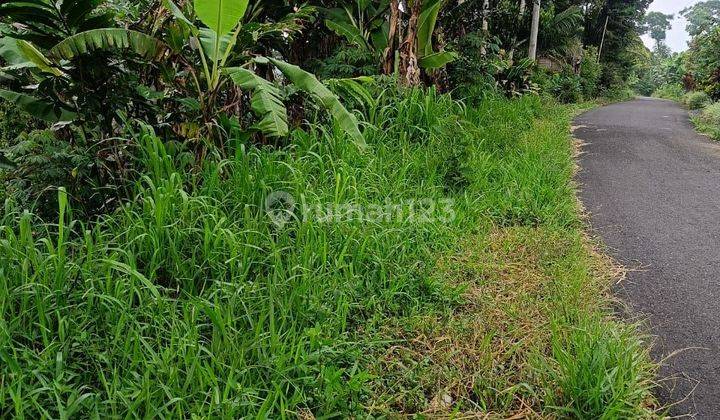 Dijual tanah lokasi wanagiri munduk buleleng bali 1