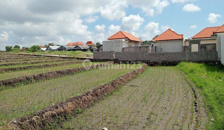 Disewakan tanah lokasi kedampang kerobokan kuta utara 1