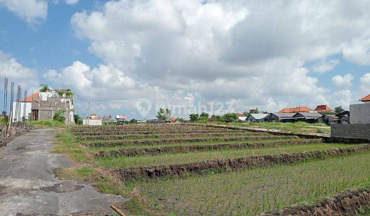 Disewakan tanah lokasi kedampang kerobokan kuta utara 2