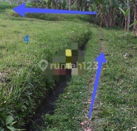 Land for sale in Pejeng Gianyar Bali  2