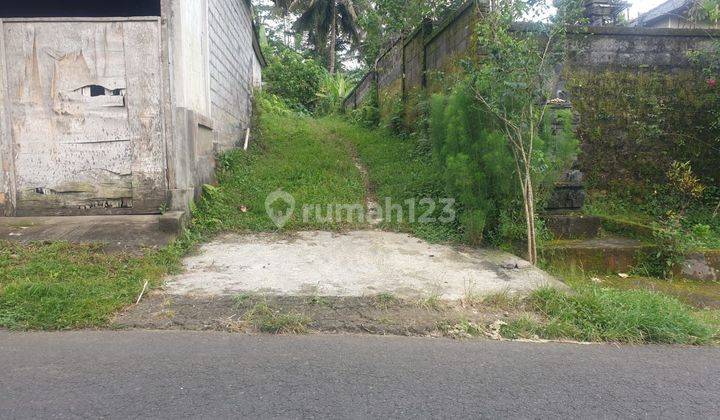 SURE DEAL FOR SALE LAND LOSS SUNGAI WOS LOCATION KEDISAN TEGALLALANG UBUD GIANYAR 
 2