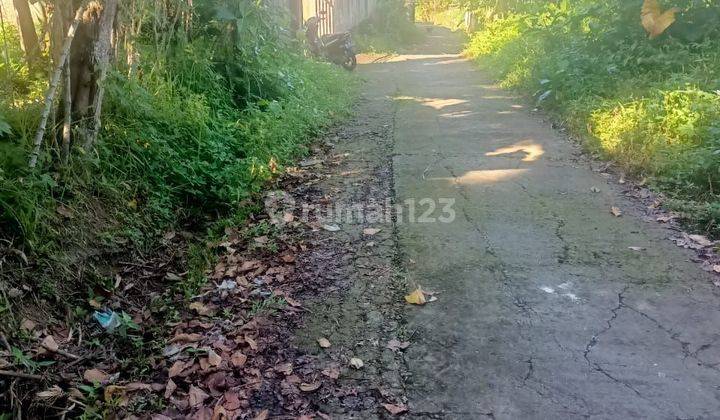 SURE DEAL ON LAND FOR SALE LOCATION PEJENG UBUD GIANYAR 1