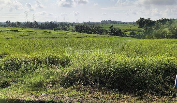 SURE DEAL ON LAND FOR SALE LOCATION KABA KABA KEDIRI TABANAN  1