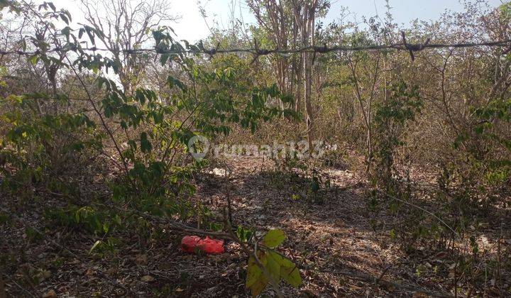 PASTI CLOSING DI JUAL TANAH LOKASI BALANGAN JIMBARAN KUTA SELATAN BADUNG
 2