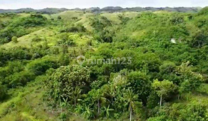 SURELY CLOSED FOR SALE LAND IN SEKARTAJI NUSA PENIDA KLUNGKUNG LOCATION
 1