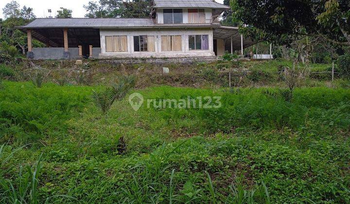 PASTI CLOSING DI JUAL TANAH LOKASI BEDUGUL BATURITI TABANAN 1