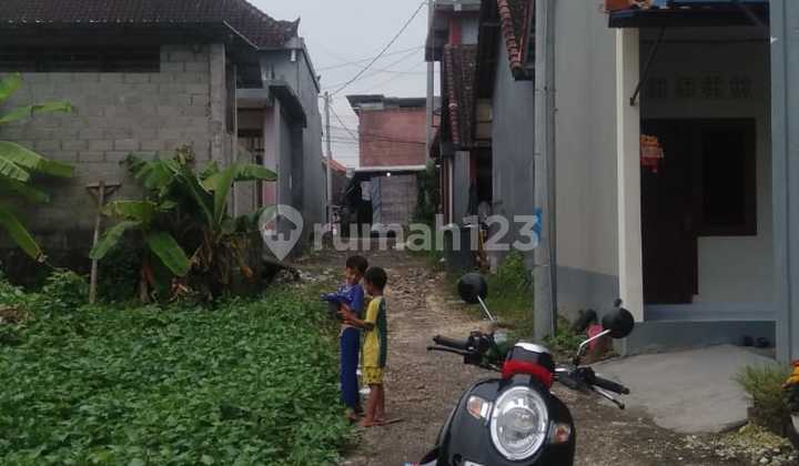 Pasti Closing Di Sewakan Tanah Lokasi Padonan Canggu Kuta Utara Badung 