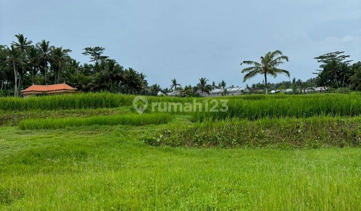 SURE CLOSING FOR SALE LAND LOSS RIVER VIEW VALLEY & RICE FIELDS LOCATION PEJENG UBUD GIANYAR
 1